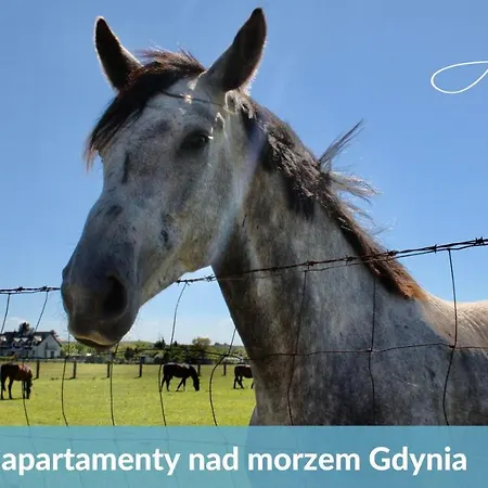 Laba - Blisko Plaży, Cisza, Taras, Parking, Nowy! * Gdynia