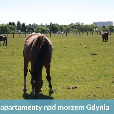 Laba - Blisko Plaży, Cisza, Taras, Parking, Nowy!