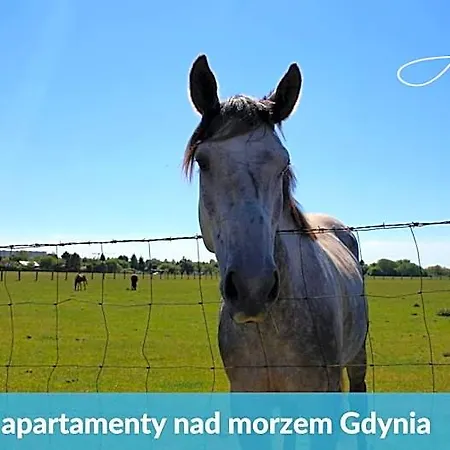 Laba - Basen, Blisko Plazy, Cisza, Taras, Parking, Bezplatne Wifi, Wyjatkowy! Gdynia