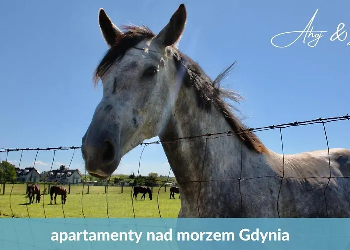 Laba - Basen, Blisko Plazy, Cisza, Taras, Parking, Bezplatne Wifi, Wyjatkowy! * Gdynia