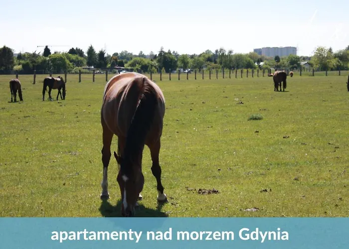 Laba - Basen, Blisko Plazy, Cisza, Taras, Parking, Bezplatne Wifi, Wyjatkowy!